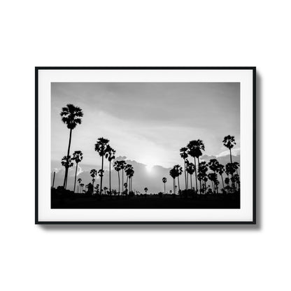 Sunset Palms Framed Art