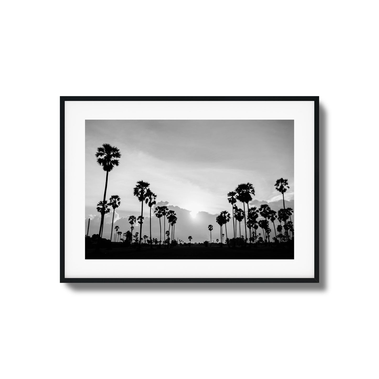 Sunset Palms Framed Art