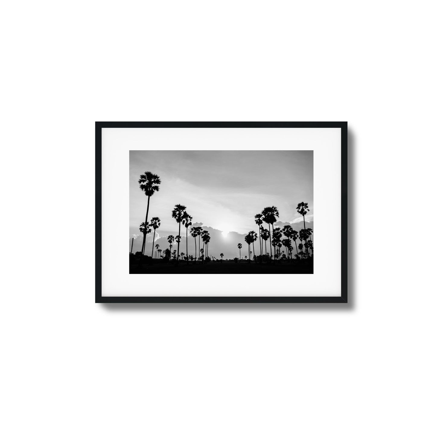 Sunset Palms Framed Art