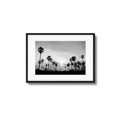 Sunset Palms Framed Art