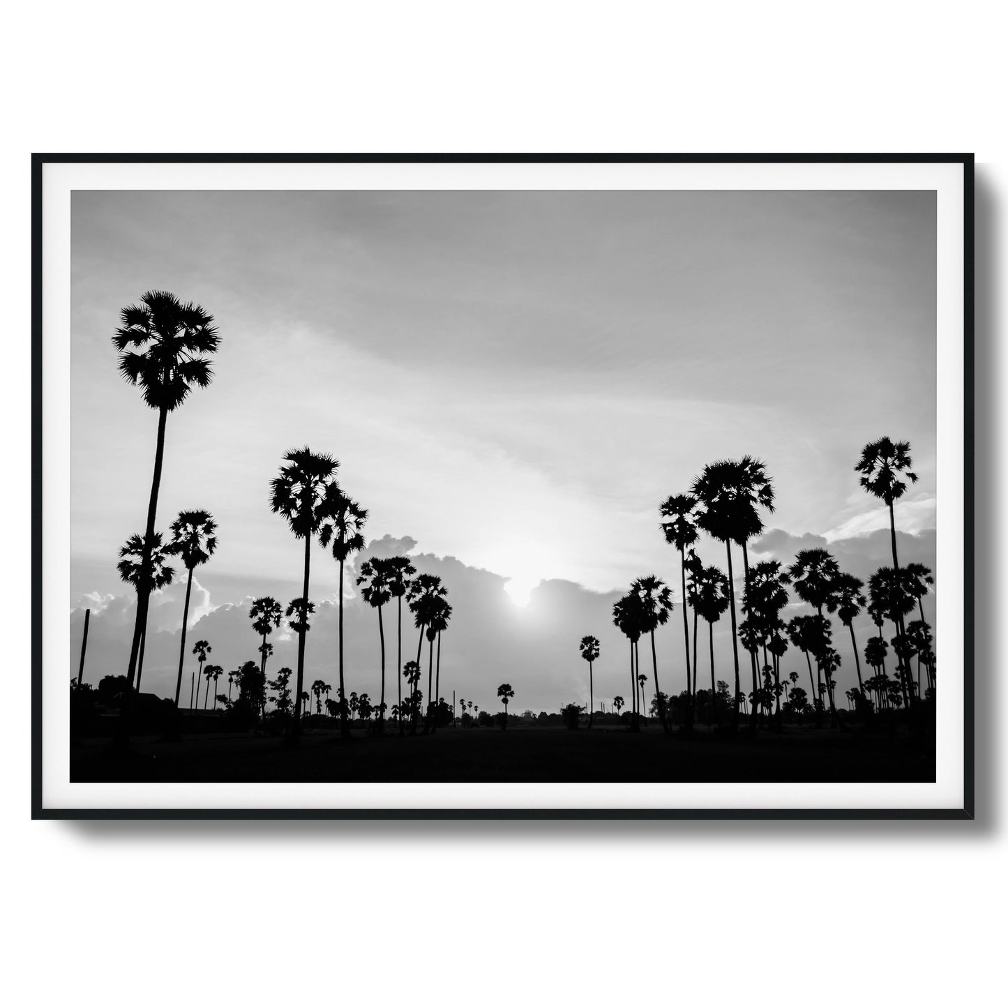 Sunset Palms Framed Art