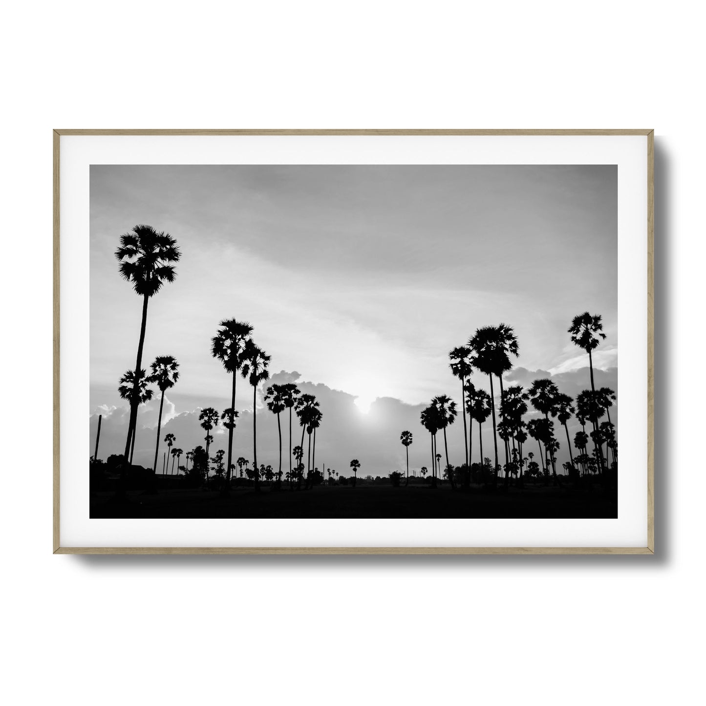 Sunset Palms Framed Art