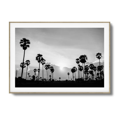Sunset Palms Framed Art