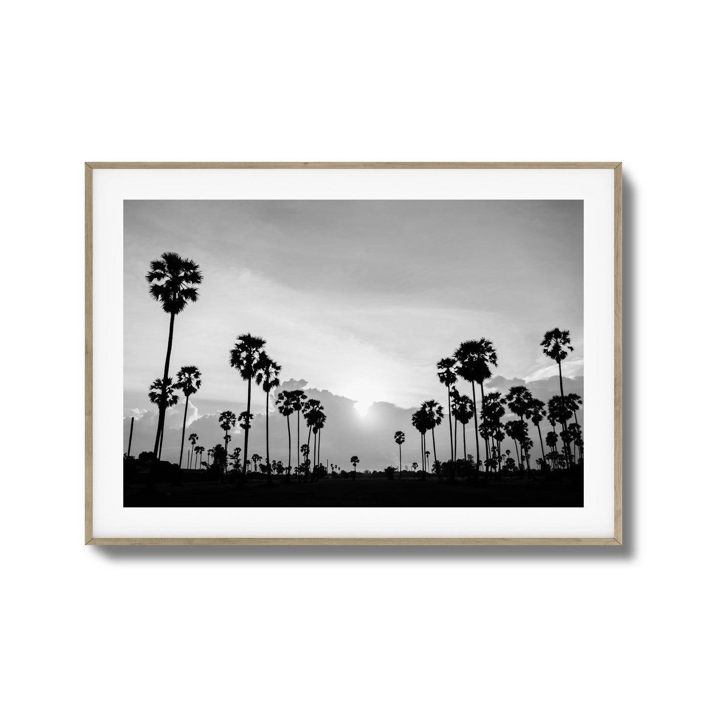 Sunset Palms Framed Art