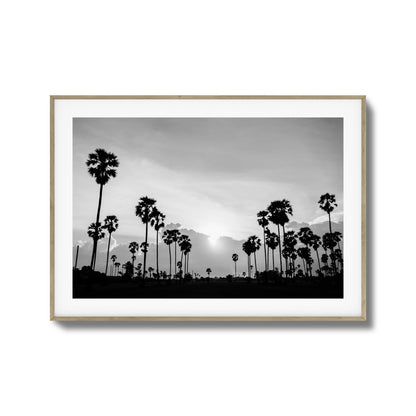 Sunset Palms Framed Art