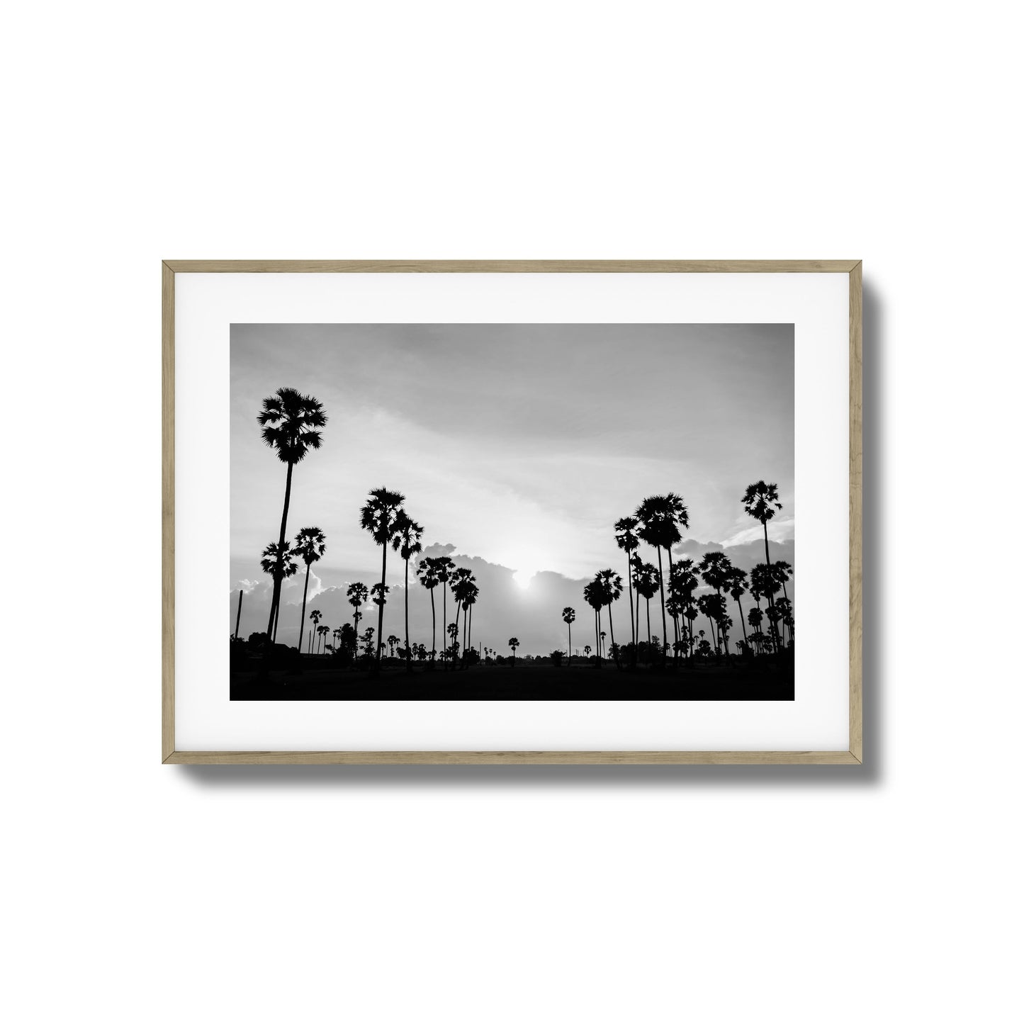 Sunset Palms Framed Art