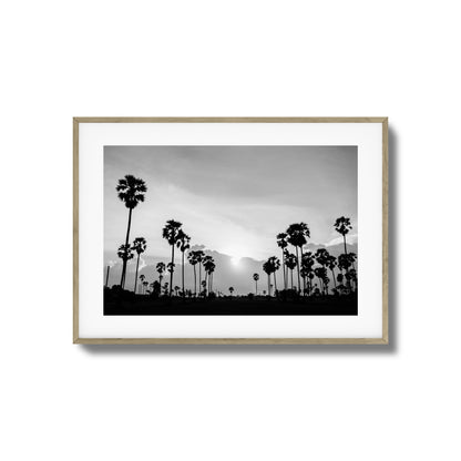Sunset Palms Framed Art
