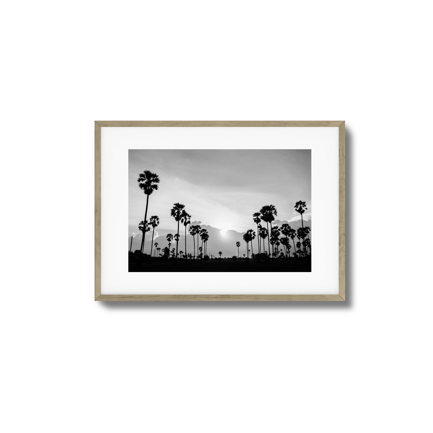 Sunset Palms Framed Art