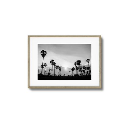 Sunset Palms Framed Art
