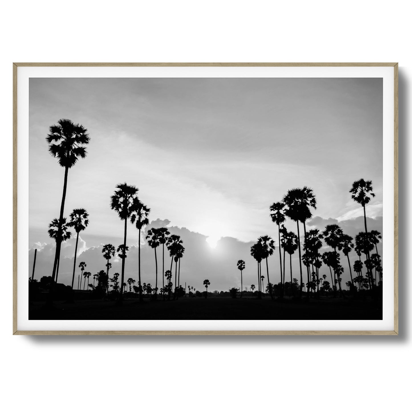 Sunset Palms Framed Art
