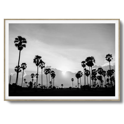 Sunset Palms Framed Art