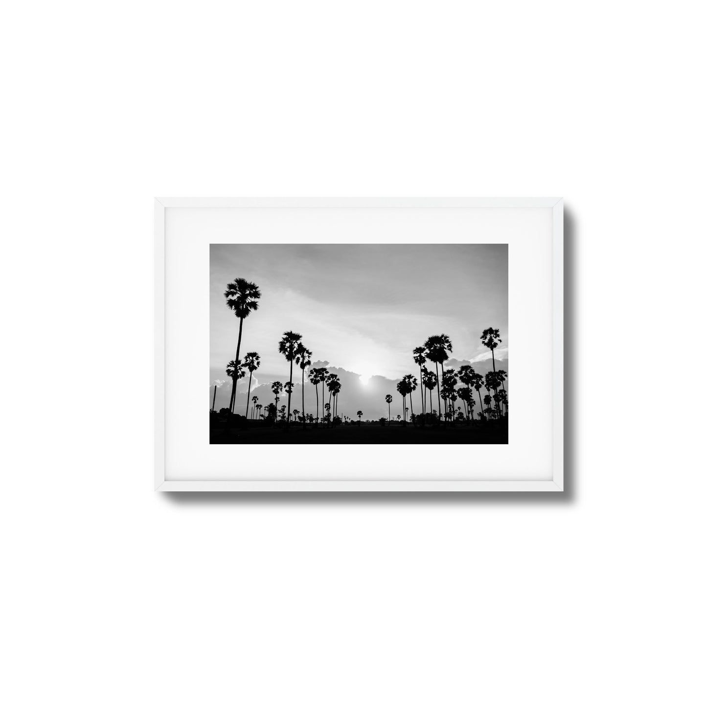Sunset Palms Framed Art