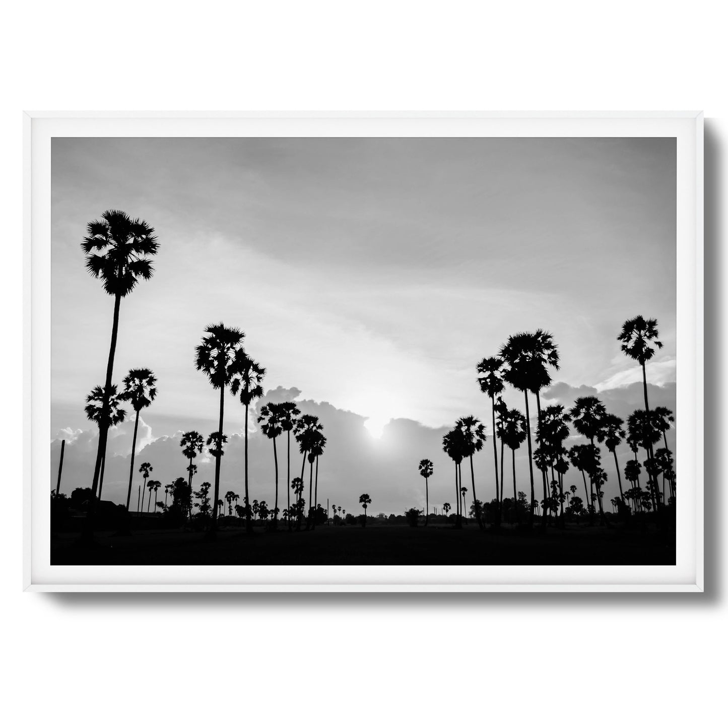 Sunset Palms Framed Art