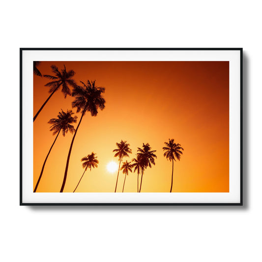 Sunset Palms Glow Framed Art