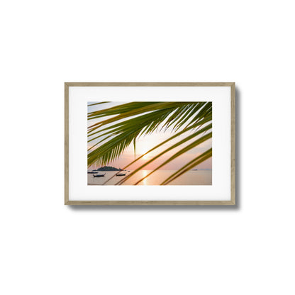 Sunset through Palm Leaves Framed Art