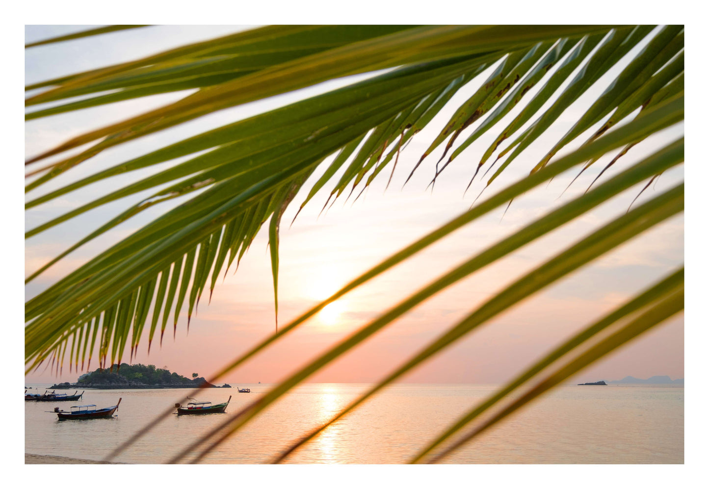 Sunset through Palm Leaves Framed Art