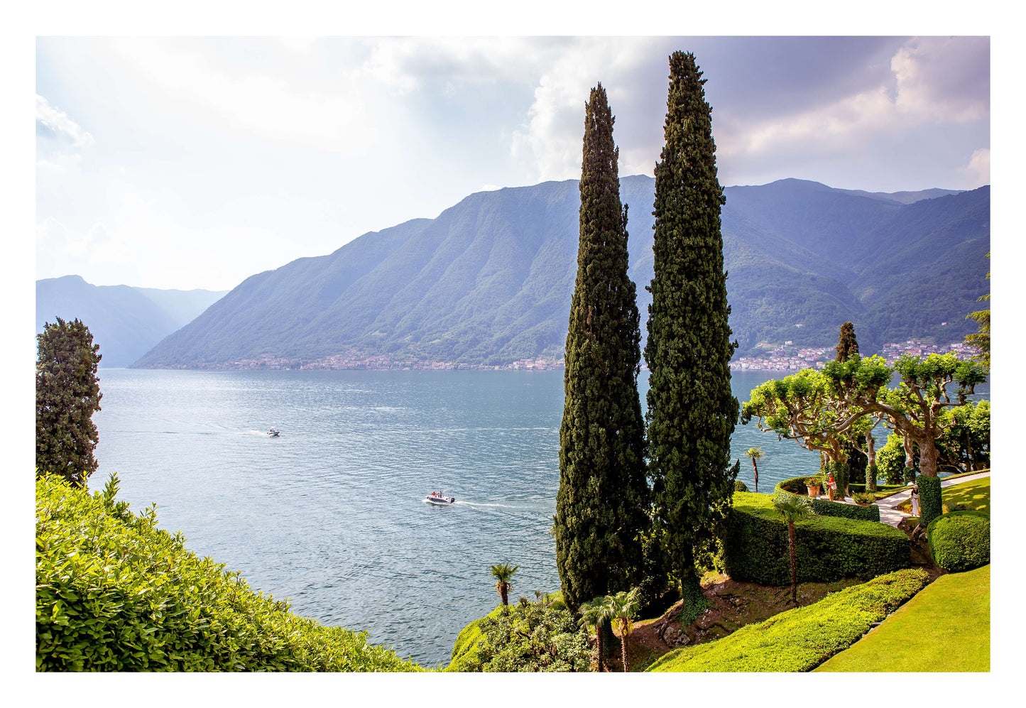 Tall Trees by Peaceful Lake Framed Art