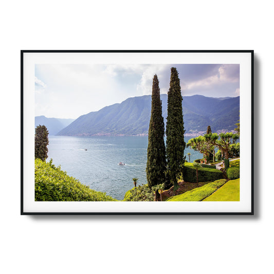 Tall Trees by Peaceful Lake Framed Art