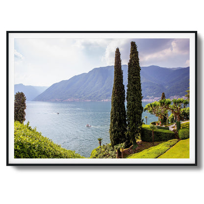 Tall Trees by Peaceful Lake Framed Art