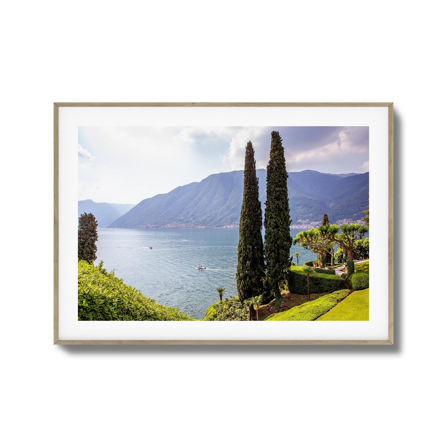 Tall Trees by Peaceful Lake Framed Art