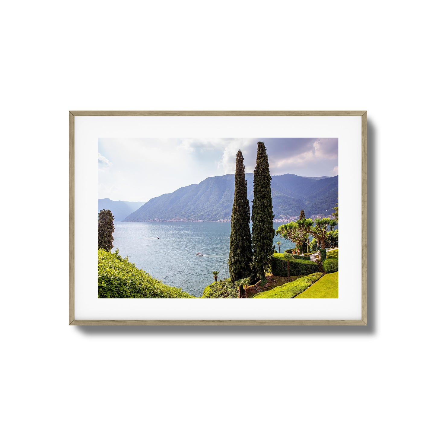 Tall Trees by Peaceful Lake Framed Art