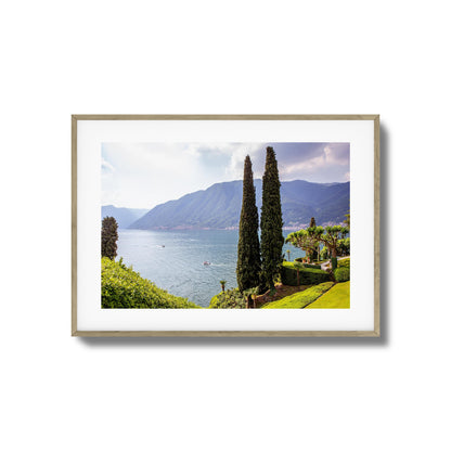 Tall Trees by Peaceful Lake Framed Art