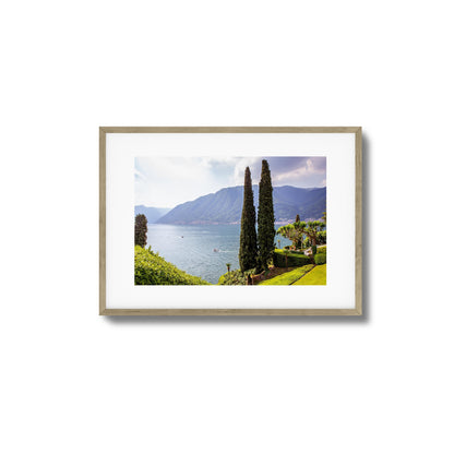 Tall Trees by Peaceful Lake Framed Art