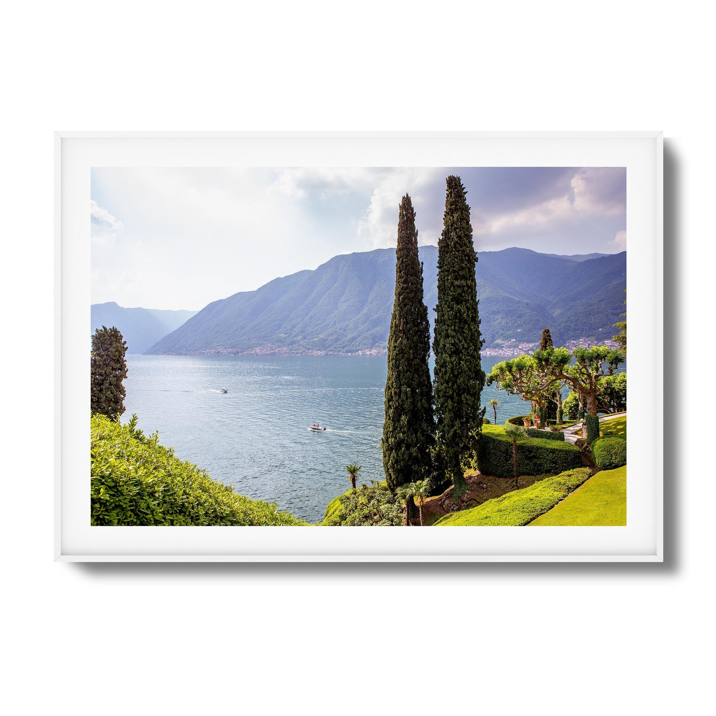 Tall Trees by Peaceful Lake Framed Art