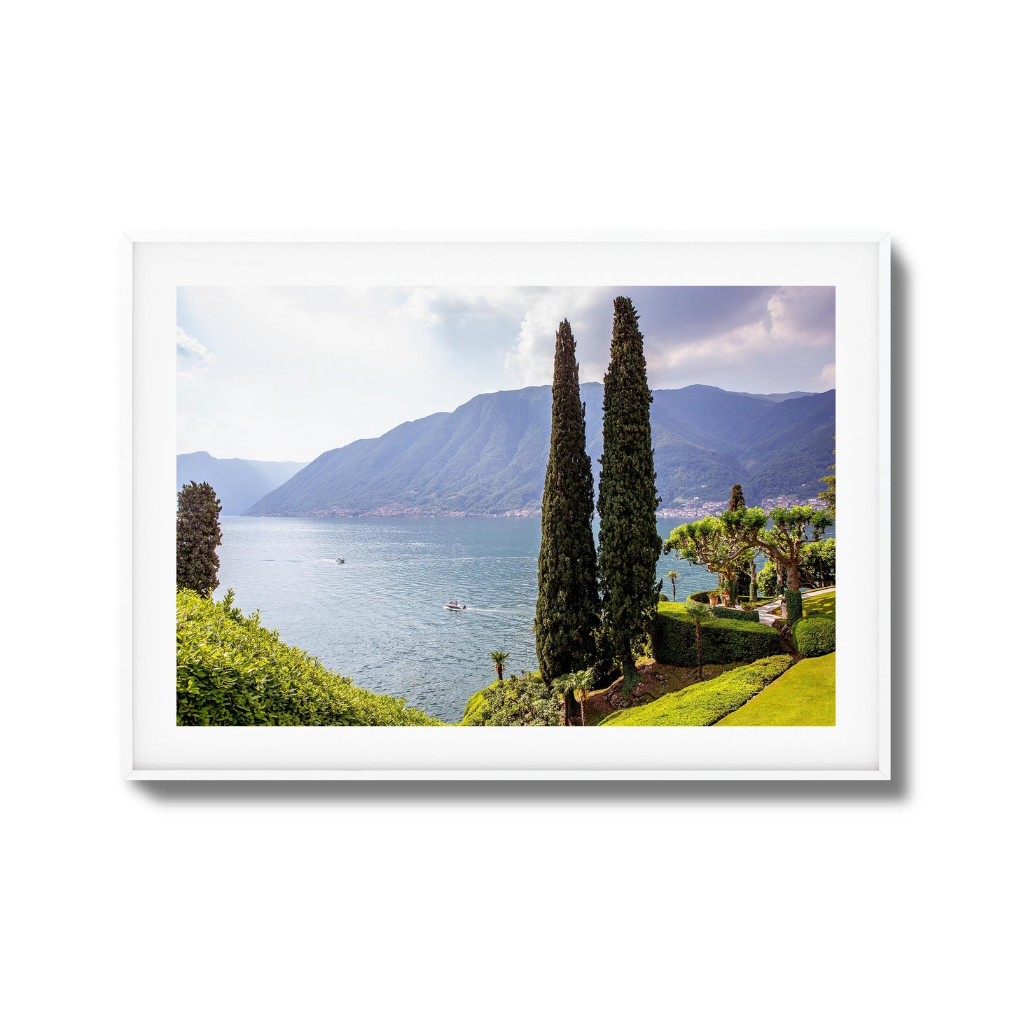 Tall Trees by Peaceful Lake Framed Art