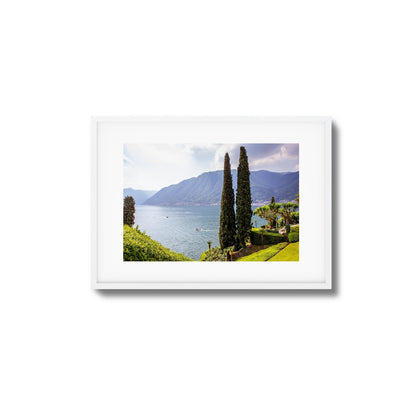 Tall Trees by Peaceful Lake Framed Art