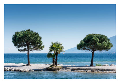 Trio Isle Framed Art