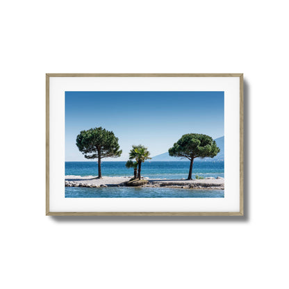 Trio Isle Framed Art