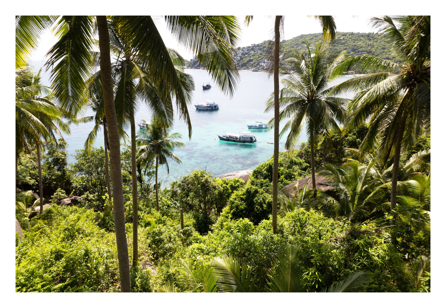 Tropical Escape Framed Art