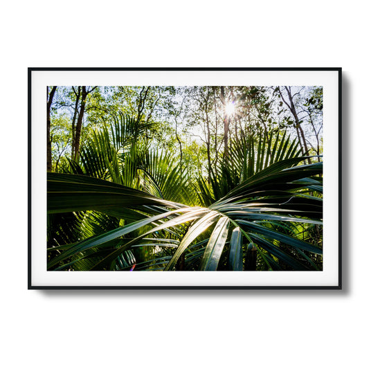 Tropical Jungle Sunburst Framed Art