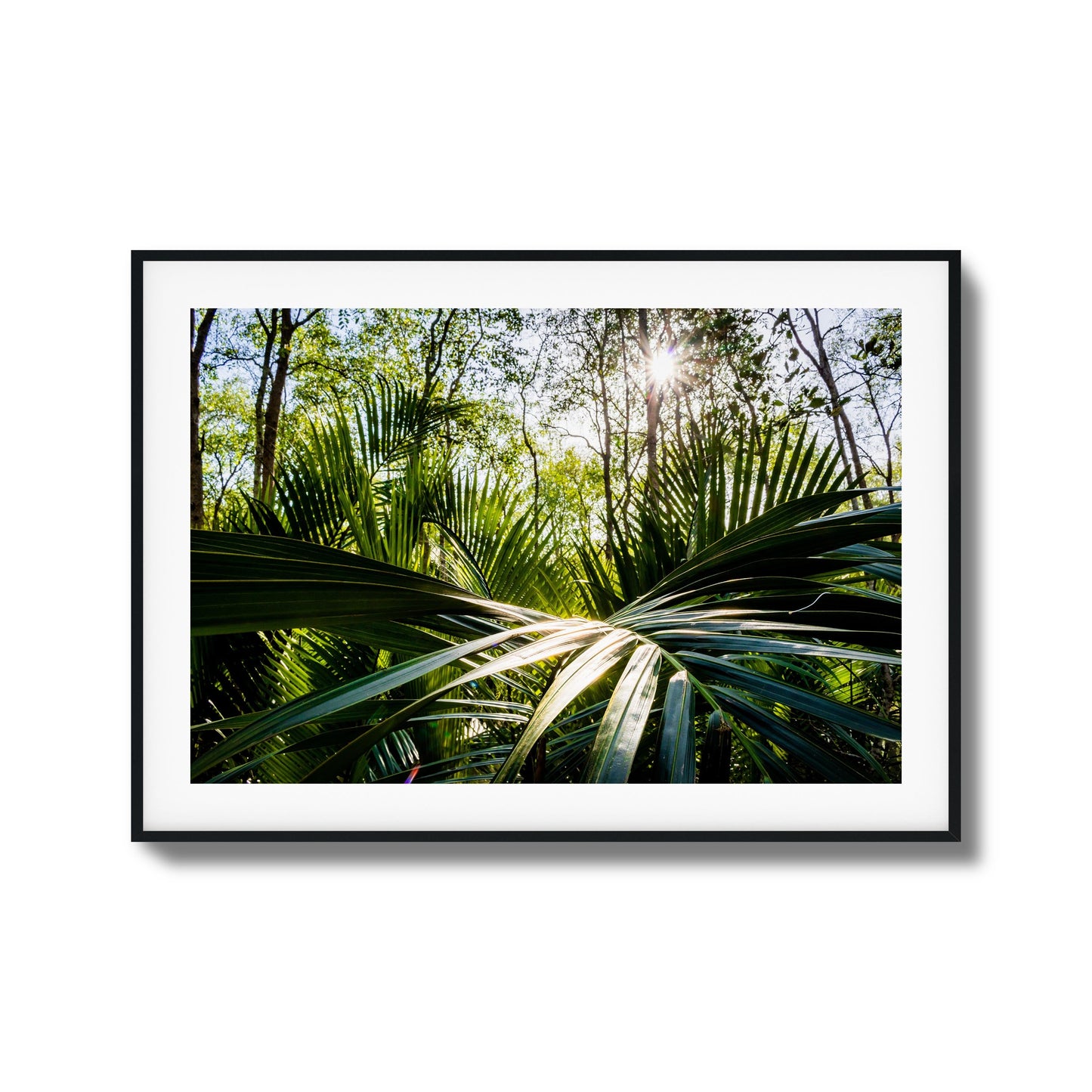 Tropical Jungle Sunburst Framed Art