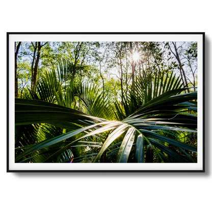 Tropical Jungle Sunburst Framed Art