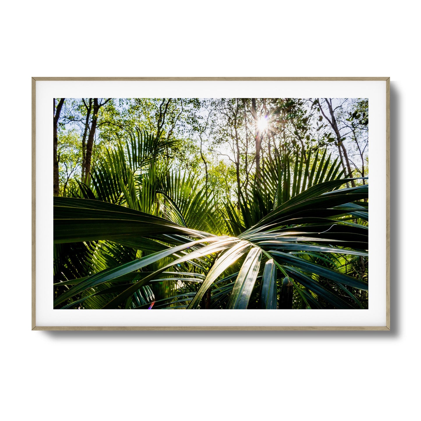 Tropical Jungle Sunburst Framed Art