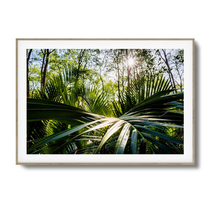 Tropical Jungle Sunburst Framed Art