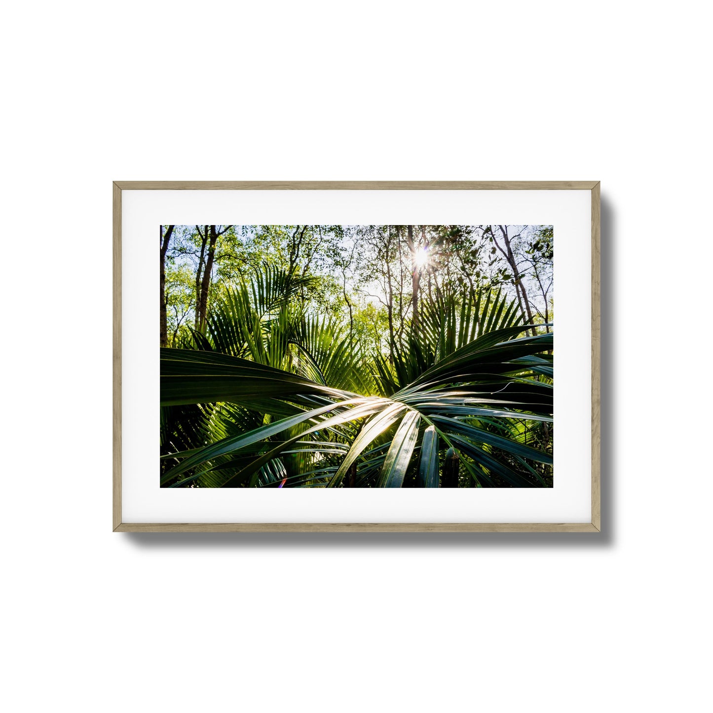 Tropical Jungle Sunburst Framed Art