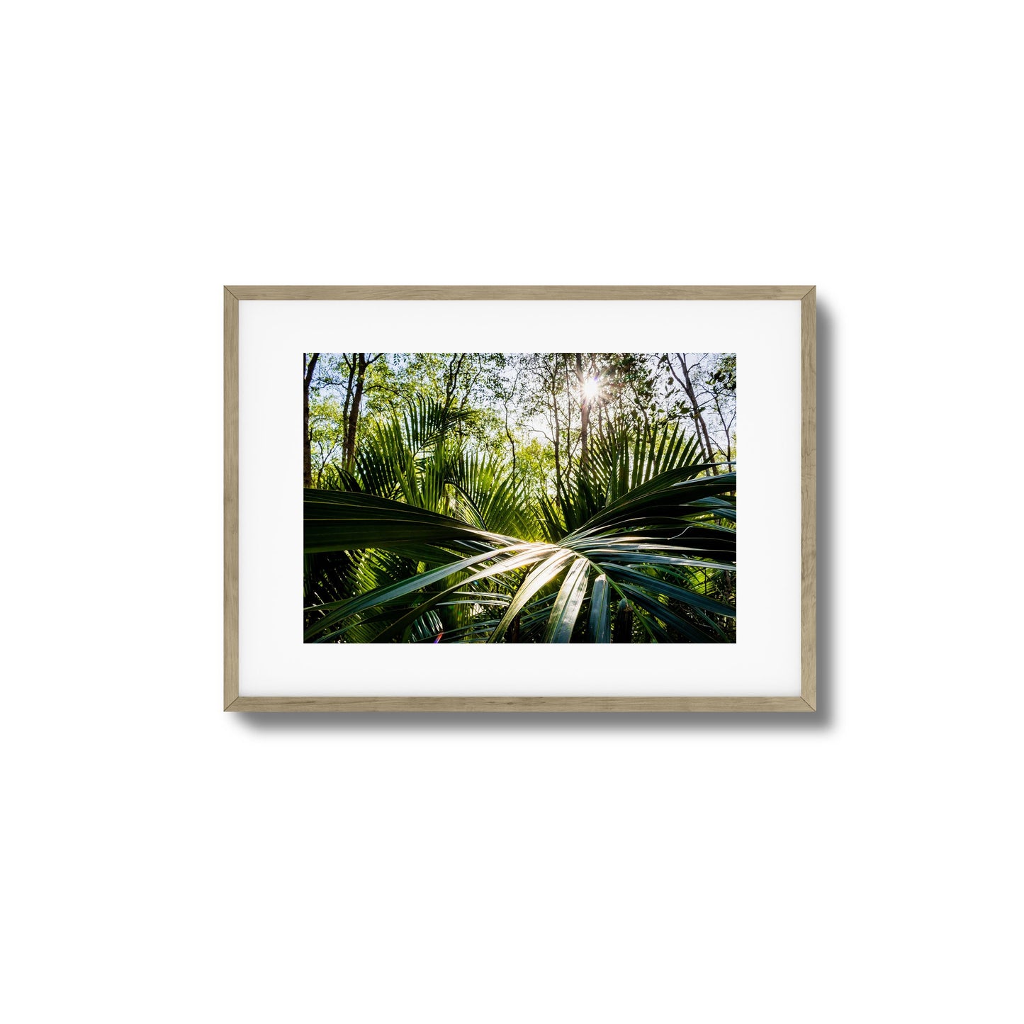 Tropical Jungle Sunburst Framed Art
