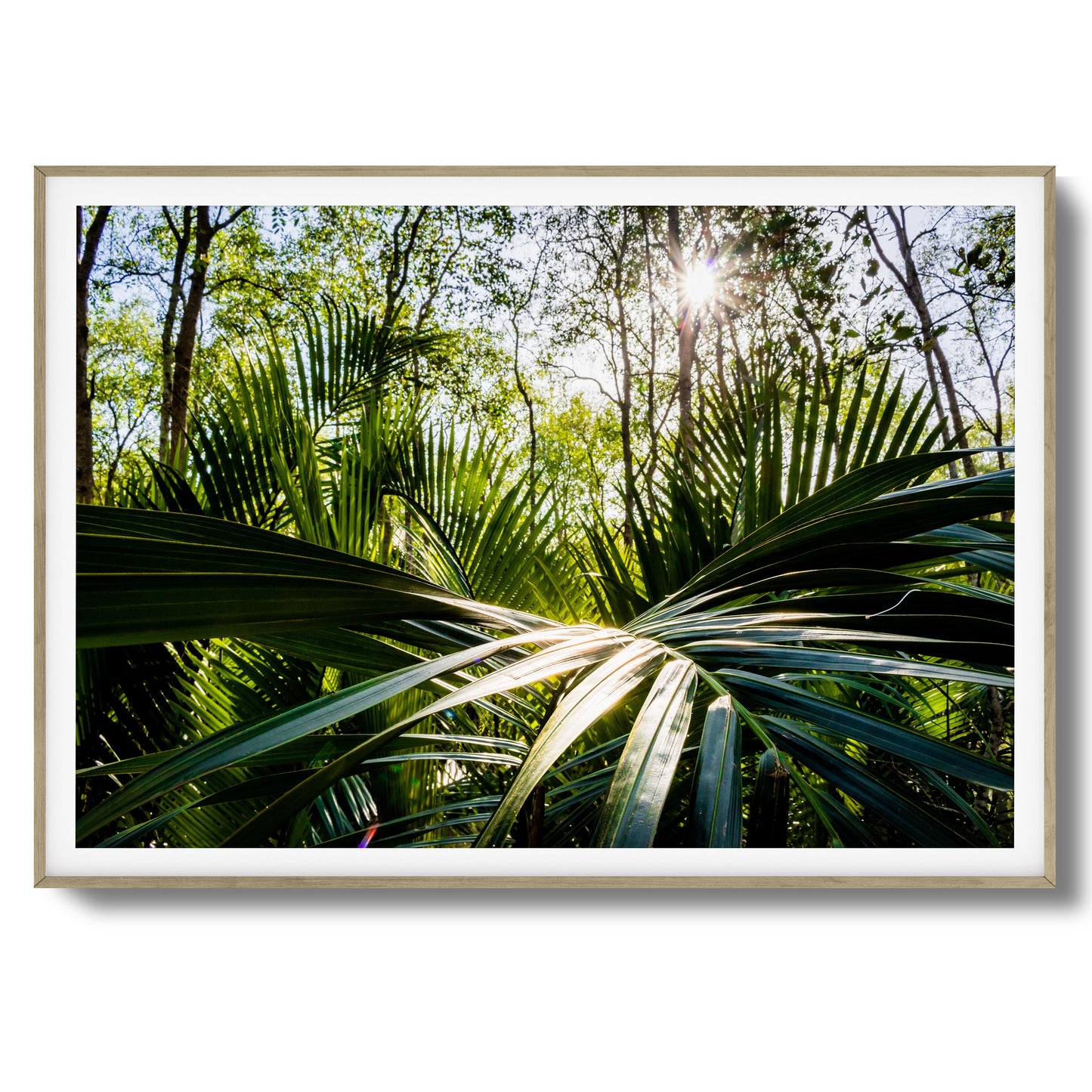 Tropical Jungle Sunburst Framed Art