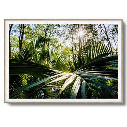 Tropical Jungle Sunburst Framed Art