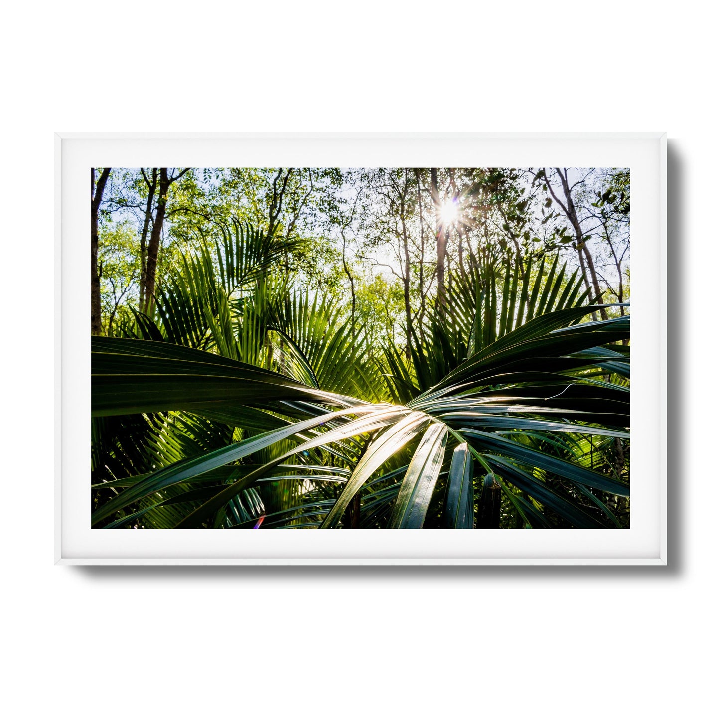 Tropical Jungle Sunburst Framed Art