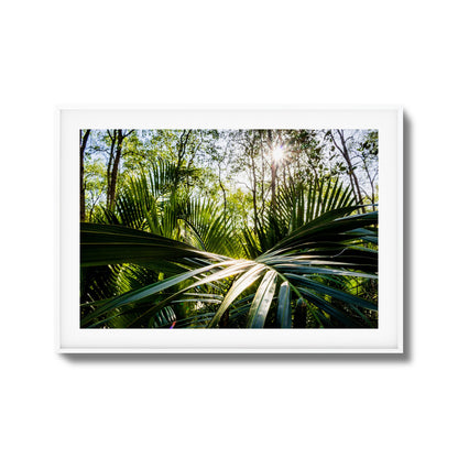 Tropical Jungle Sunburst Framed Art