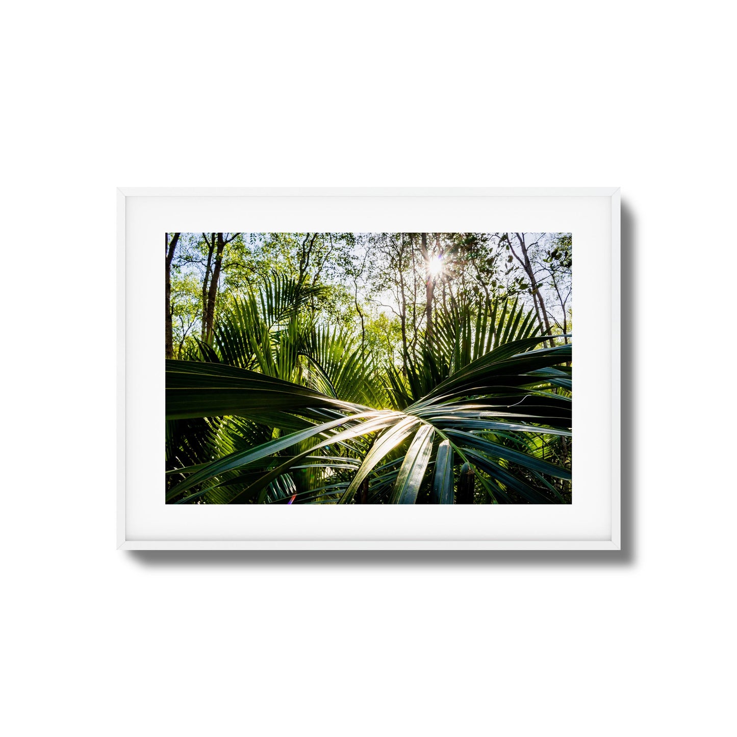 Tropical Jungle Sunburst Framed Art