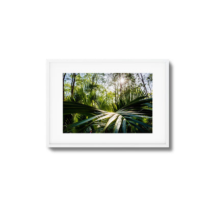 Tropical Jungle Sunburst Framed Art