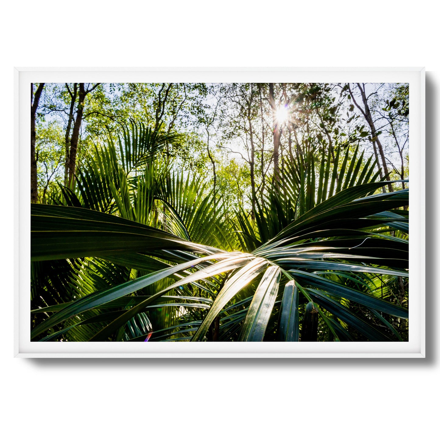 Tropical Jungle Sunburst Framed Art