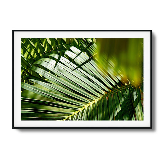 Tropical Light Framed Art