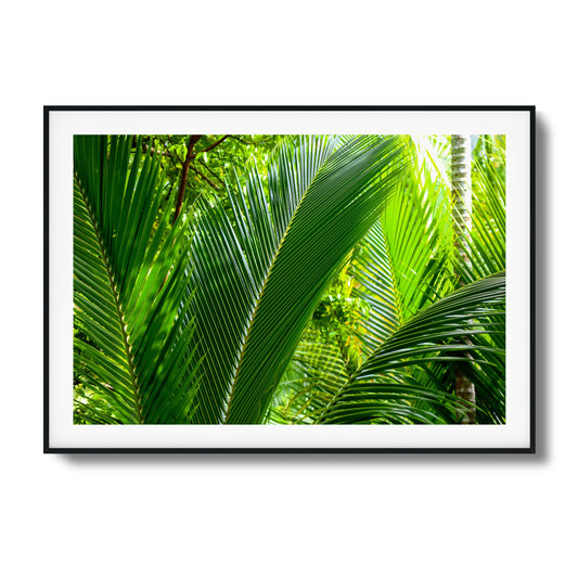 Tropical Palms Close-Up Framed Art