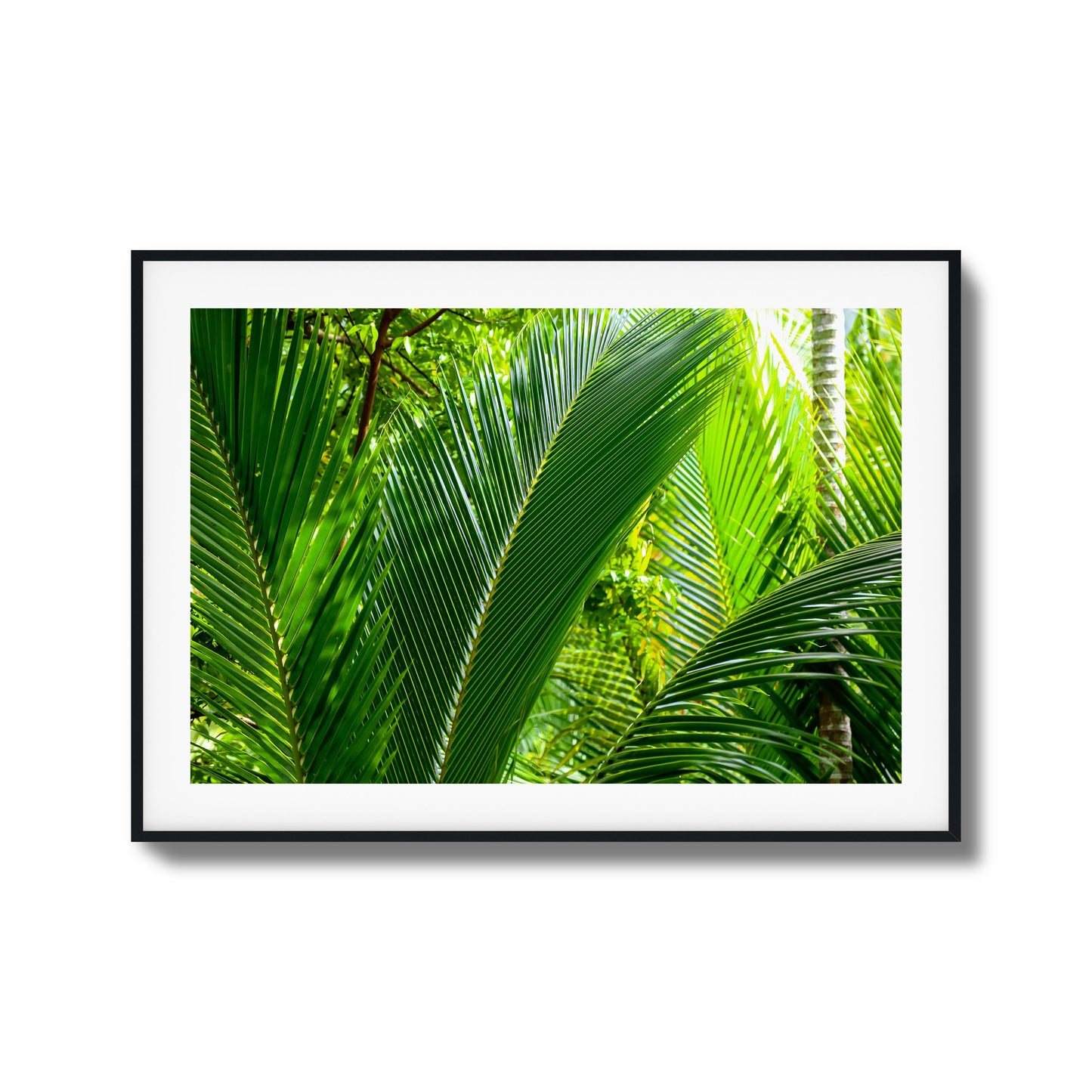 Tropical Palms Close-Up Framed Art